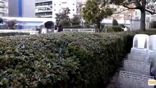 CAWD-167 搞到肉棒硬梆梆般的乳頭玩弄追擊 射了11發依舊微笑挑逗W乳頭婊子 樋口三葉 乙葉可憐